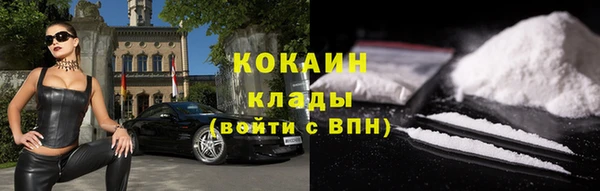 сатива Белокуриха