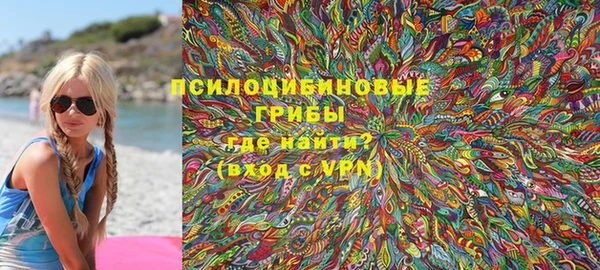 сатива Белокуриха