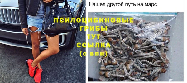 метадон Богородицк