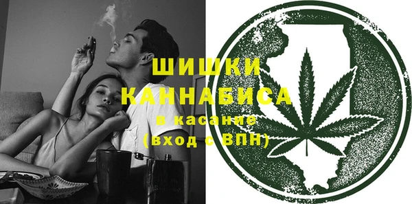 молекула духа Богородск