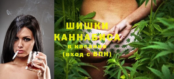 молекула духа Богородск
