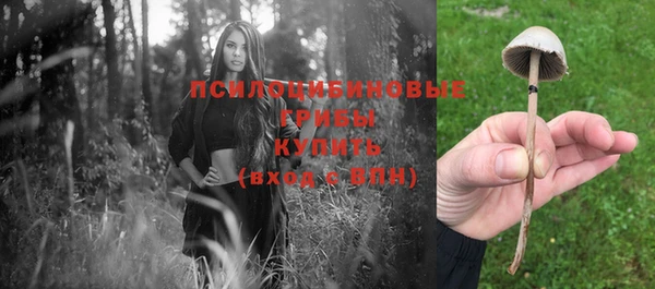 дмт Беломорск