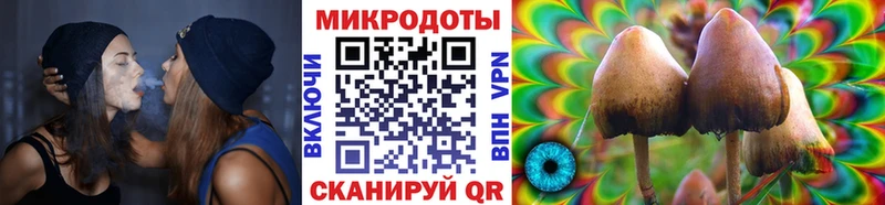 Галлюциногенные грибы Magic Shrooms  Верещагино 